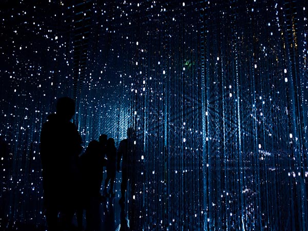 Welcome to the Future of WordPress with Gutenberg